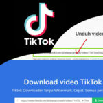 Download Video Tiktok Tanpa WM ( Watermark )
