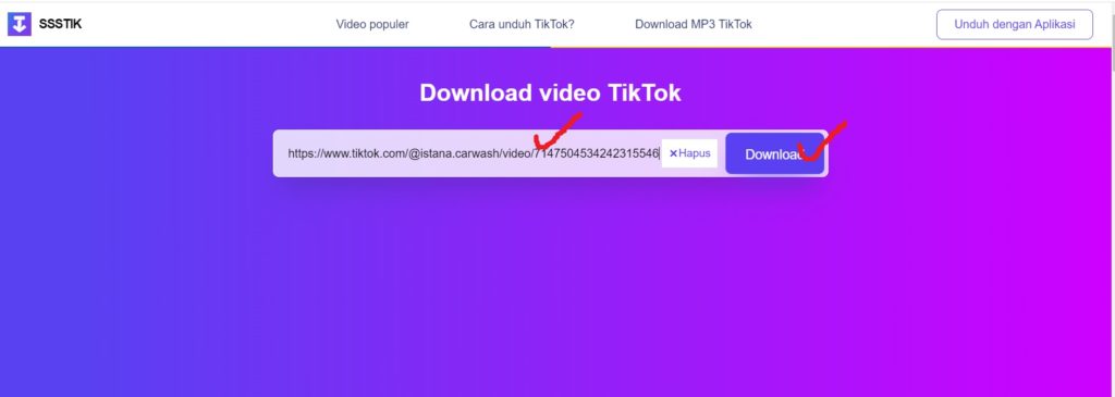 Download Video Tiktok Tanpa WM ssstik